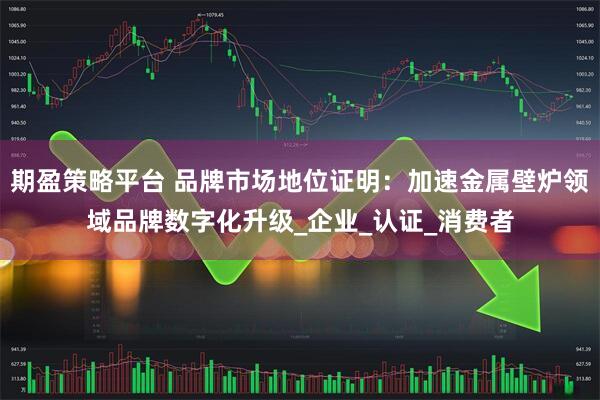 期盈策略平台 品牌市场地位证明：加速金属壁炉领域品牌数字化升级_企业_认证_消费者