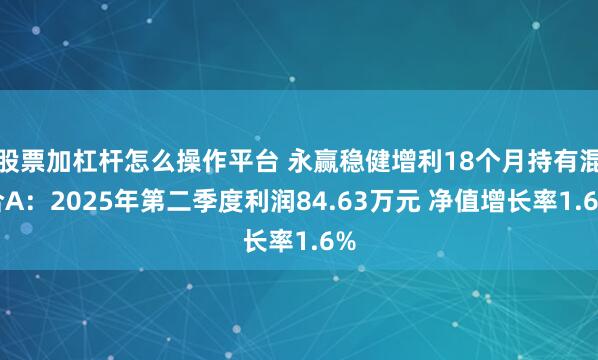 股票加杠杆怎么操作平台 永赢稳健增利18个月持有混合A：2025年第二季度利润84.63万元 净值增长率1.6%