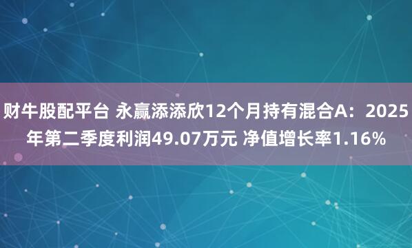 财牛股配平台 永赢添添欣12个月持有混合A：2025年第二季度利润49.07万元 净值增长率1.16%