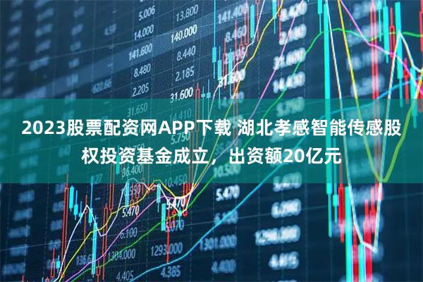 2023股票配资网APP下载 湖北孝感智能传感股权投资基金成立，出资额20亿元