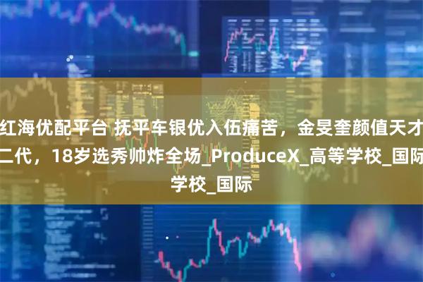 红海优配平台 抚平车银优入伍痛苦，金旻奎颜值天才二代，18岁选秀帅炸全场_ProduceX_高等学校_国际