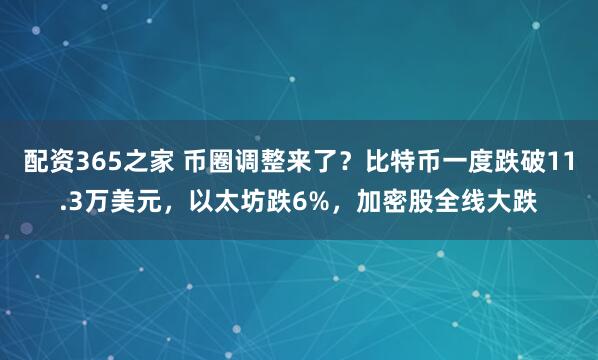 配资365之家 币圈调整来了？比特币一度跌破11.3万美元，以太坊跌6%，加密股全线大跌