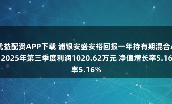 优益配资APP下载 浦银安盛安裕回报一年持有期混合A:2025年第三季度利润1020.62万元 净值增长率5.16%